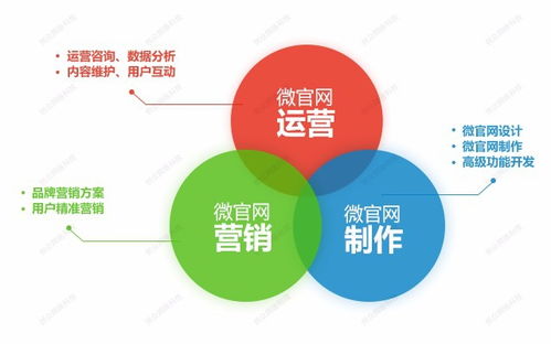 看准网
