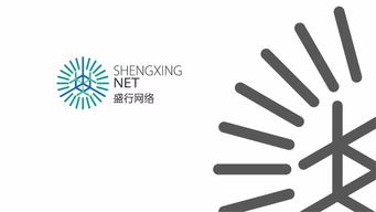 专注于网络科技的企业 盛行网络